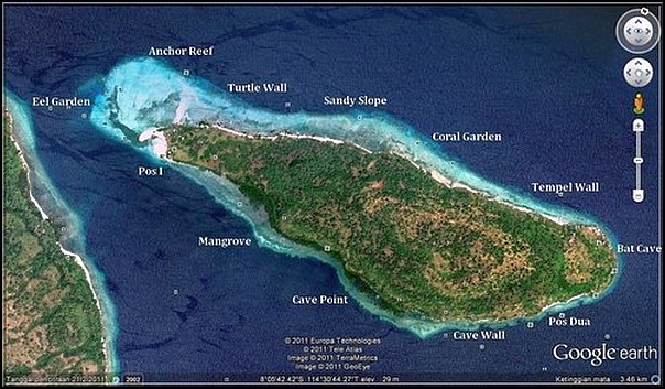 Pulau Menjangan Diving